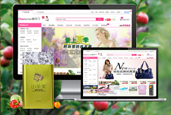 ͭ�ʳ������̳�